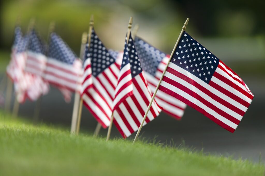 Small American Flags