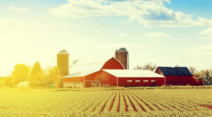 Red Barn