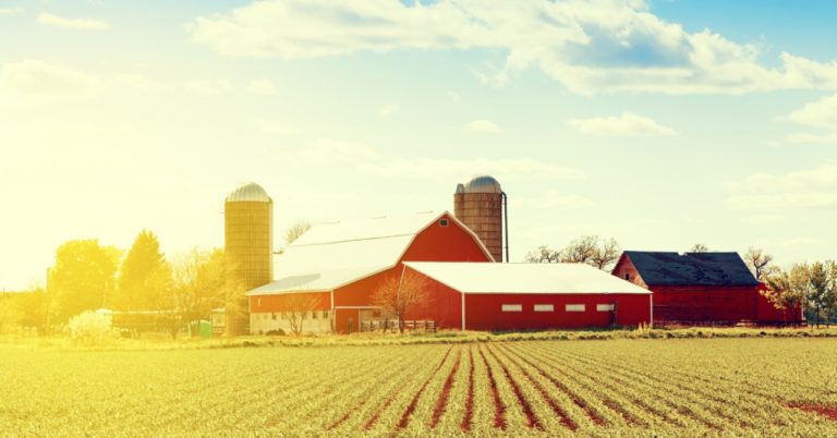 Red Barn