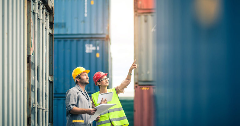 Commercial docks worker and inspector at work