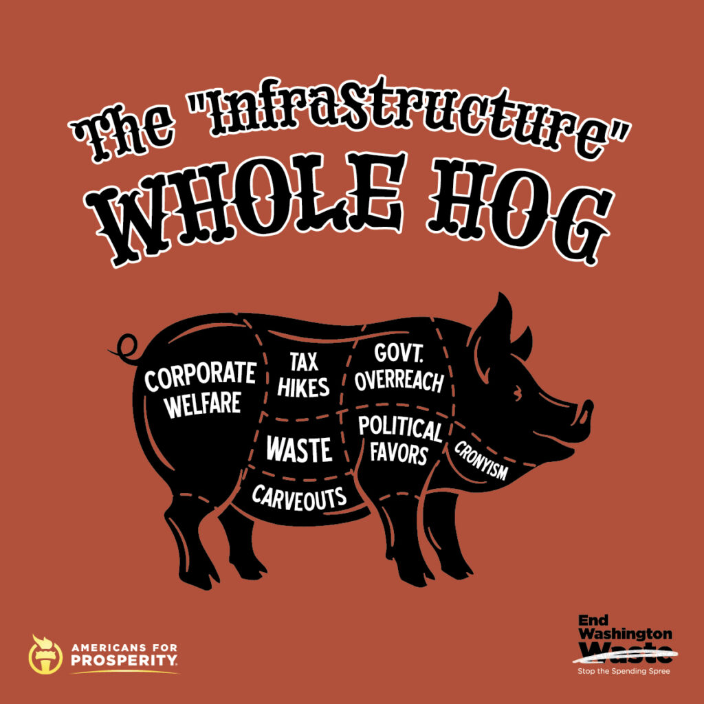 The "Infrastructure" Whole Hog sign detailing all the pork in the president's so-called infrastructure plan