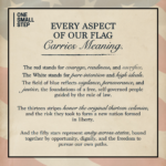 American Flag Educational Insert